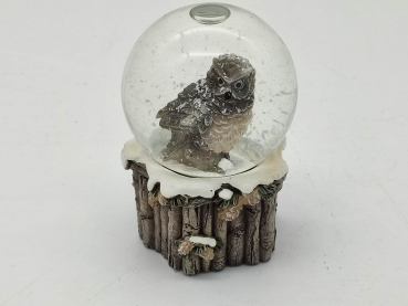 Snow globe owl